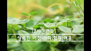 [kevin macleod][무료배경음악]조용한연주곡| 힐링음악|아침에듣기좋은음악|Piano Music|Relaxing Music| Healing Music