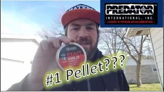 Why JSB lead airgun pellets seem to be the best?