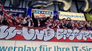 Unfassbare Stimmung nach dem Sieg der Fischtown Pinguins