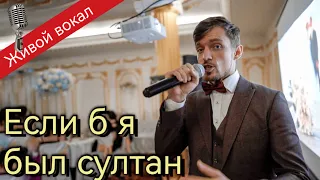 Если б я был султан - кавер |  Ведущий Пежемский Егор