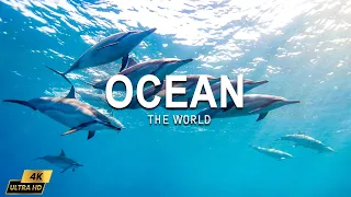 The Ocean - Relaxing Movie - Peaceful relaxing music - 4K Ultrahd video