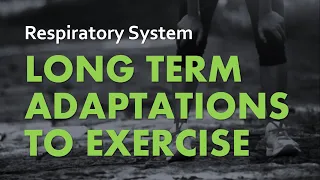 Adaptations to Exercise | Respiratory System 07 | Anatomy & Physiology