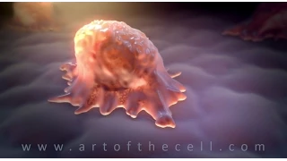 JOHN LIEBLER - DEMO REEL - Art of the Cell: Medical & Scientific 3D Animation