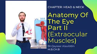 Anatomy of The Eye Part II (Extraocular Muscles) with Dr.Qayssar 2020 تشريح عملي