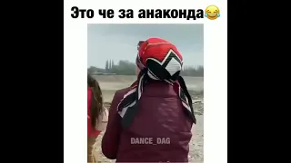 СТРАУС ТАНЦУЕТ ЛЕЗГИНКУ Ostrich dancing 🕺🕺🕺