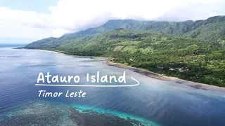 Timor Leste | Diving Atauro Island