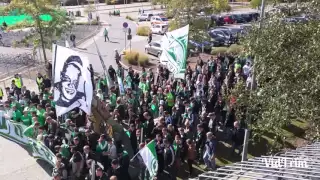 VfL Wolfsburg Fanmarsch 20 Jahre