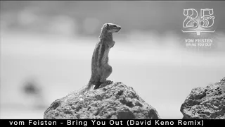 TRACK PREVIEW: vom Feisten - Bring You Out (David Keno Remix) [BAR 25 Music]