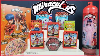 MIRACULOUS LADYBUG AND CAT NOIR SPECIAL! Kwami blind boxes Secrets trading cards, stickers and doll!