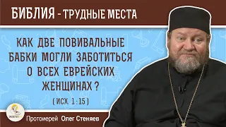 Как две повивальные бабки могли заботиться о всех еврейских женщинах ? (Исх.1:15) Прот. Олег Стеняев