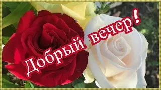 🌹Добрый вечер! 🌹Очень красивое Пож🌹елание с Добрым Вечером!