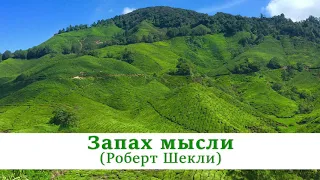 Запах мысли | Роберт Шекли | Фантастический рассказ | Аудиокнига