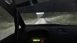 DONT CUT! | DiRT Rally | PS4