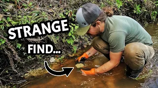 Beachcombing an ANCIENT Shoreline Leads Us To Completely Unexpected Discovery!