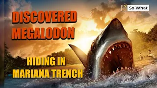 Megalodon was hiding in  Mariana Trench, SO WHAT!