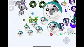 【Agar.io Mobile】ペアで超激アツ過密鯖をLiveと取り合い！with りんご