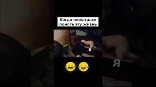 Хорёк перепутал мусорку с клеткой 😂 #Shorts