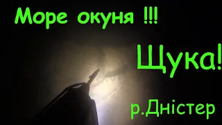 Дністер.  Багато окуня.  Підводна охота на щуку.