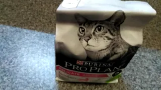 Purina Pro Plan Delicate для котов с ягненком