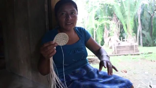 JipiJapa Basket and Daily Life in its Making - Belize - Jipijapa Palm Traditional Mayan Basketry