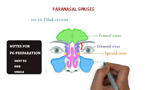 paranasal sinuses | maxillary , ethmoid ,sphenoid ,frontal | notes
