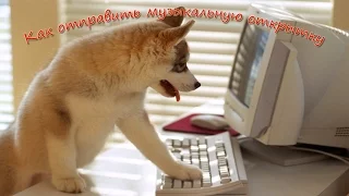 Как отправить музыкальную открытку другу