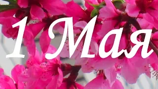 1 Мая С праздником  Поздравление друзей🌺 🌸