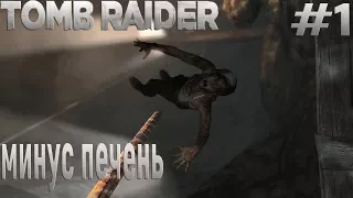 TOMB RAIDER минус печень #1