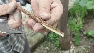 Bir ağaçta 4 çeşit erik aşısı,testere ile yatak açma, kalem aşı. sonuç mükemmel.