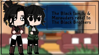 The Black family/Marauders react to the Black Brothers {Jegulus}