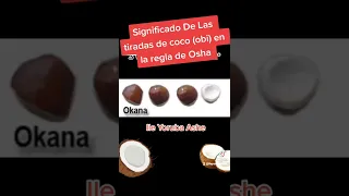 significado de las tiradas del coco (obi) en la regla de Osha