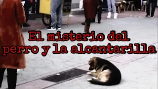 CASO REAL | El Misterio Del PERRO Y La Alcantarilla