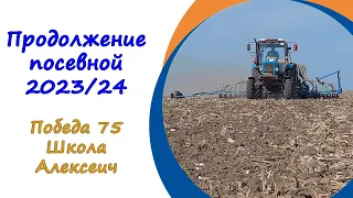 🌾Сеем озимую пшеницу 2023 | Сорта Победа 75, Школа, Алексеич (02.10.2023)