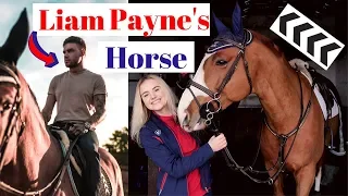 Liam Paynes New Horse featuring Yazmin Pinchen AD | This Esme