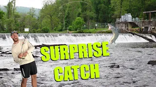 Fishing MOUNTAIN SPILLWAY!!! You'll NEVER guess what we caught!!!