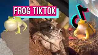 WELCOME TO FROG TIKTOK 🐸 TikTok Compilation October 2020