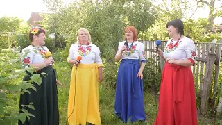 "Віолла". "Жаль мені на козака"