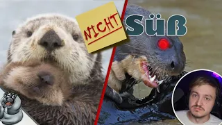 Die SCHRECKLICHE WAHRHEIT über OTTER! CreepyPastaPunch präsentiert