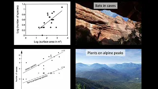 Introduction to Island Biogeography