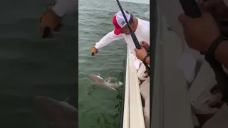 Galveston Bay Sharks with Capt LG Boyd