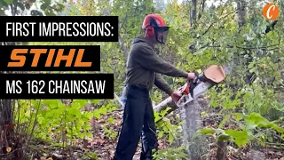 New STIHL MS 162 Chainsaw – First Run!