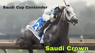 Saudi Cup 2024 contender Saudi Crown