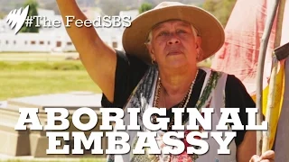 Aboriginal Embassy I The Feed