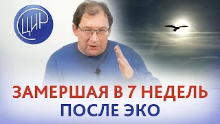 Невынашивание беременности в 7 недель после ЭКО. В чём причина и что делать. Гузов И.И.