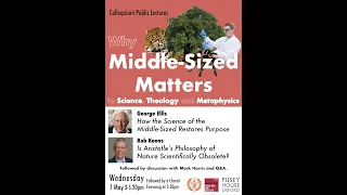 Why Middle-Sized Matters to Science, Theology and Metaphysics - George Ellis & Rob Koons