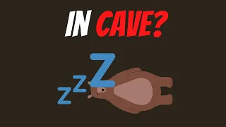 Do Bears Really Sleep in Cave?