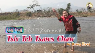 (Lug Txaj) Tsiv Teb Tsaws Chaw by Nruag Hawj