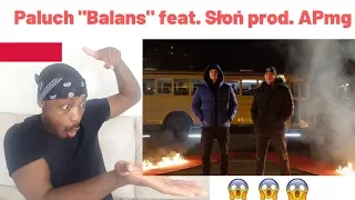 UK REACTS TO POLISH RAP!  Paluch "Balans" feat. Słoń prod. APmg