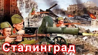 СТАЛИНГРАД. В честь 81-й годовщины разгрома немецко-фашистких войск в Сталинградской битве