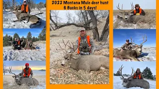 6 Mule deer tags filled in 5 days!! | Sweet November in Montana